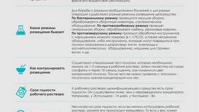 Что использовать после: руководство по выбору средств в Эль Дибот
