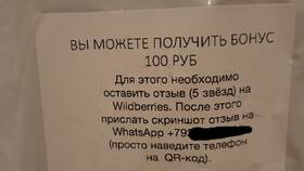 Как написать отзыв на товар в Wildberries в Эль Дибот