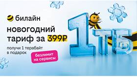 Как настроить услуги Билайн в Эль Дибот