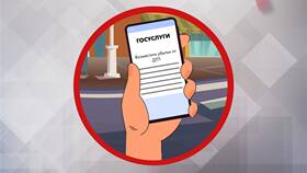 Как оформить ДТП онлайн через Госуслуги в Эль Дибот