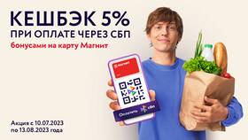 Как оплачивать покупки в «Магните» через СБП