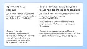 Как платить налог самозанятому ИП в Эль Дибот