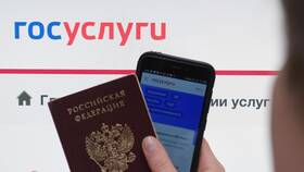 Как подать заявление на получение ИНН через Госуслуги в Эль Дибот