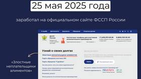 Как погасить долг по алиментам в Эль Дибот