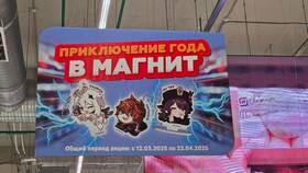 Как получить карту Магнита бесплатно в Эль Дибот