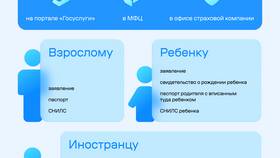 Как получить полис ОМС через Госуслуги: пошаговая инструкция в Эль Дибот