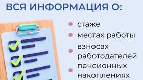 Как получить выписку из лицевого счета СФР