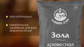 Как приготовить подкормку из золы и уксуса в Эль Дибот