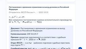 Как проверить запрет на выезд из страны в Эль Дибот
