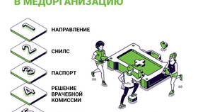 Как пройти медосмотр для медкнижки самозанятому в Эль Дибот