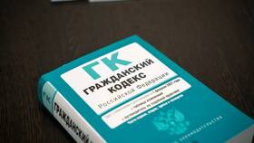 Как снять судебный запрет: пошаговая инструкция в Эль Дибот