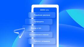 Когда происходят выплаты Ozon Seller в Эль Дибот