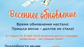 Почему не списывается услуга в Эль Дибот