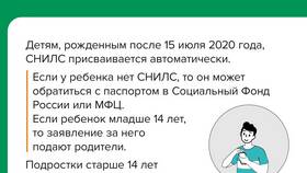 Поменять СНИЛС в МФЦ: что нужно в Эль Дибот