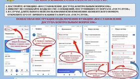 Пошаговая инструкция по работе с Госуслугами в Эль Дибот