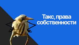 Реквизиты права собственности на квартиру: что это в Эль Дибот