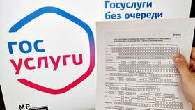 Сколько времени делается временная регистрация через Госуслуги в Эль Дибот