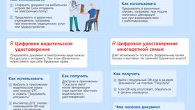 Законодательство о получении паспорта через Госуслуги в Эль Дибот