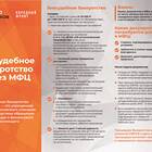 Прошла процедура банкротства через МФЦ: что делать дальше