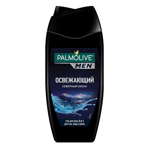 Гель для душа Palmolive Северный океан Мужской 250 мл в Эль Дибот