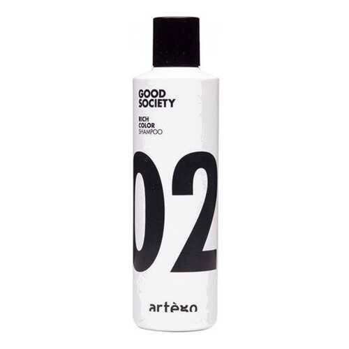 Шампунь Artego Rich Color Shampoo для Окрашенных Волос, 250 мл в Эль Дибот